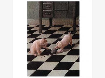 Notecard with envelope Playing piglets Michael Sowa