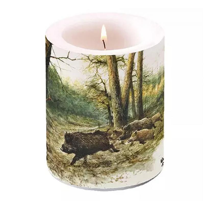 Big Candle Wild Boars In The Woods