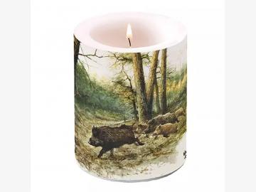 Big Candle Wild Boars In The Woods