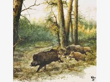 Napkins Wild Boars In The Woods 33x33cm