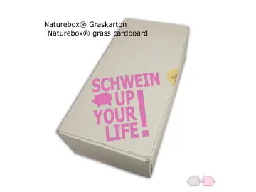 Geschenkbox Schachtel Naturebox Graskarton 40cm