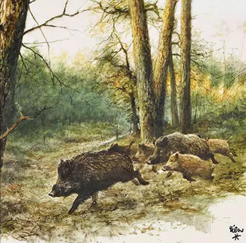 Set - Kerze u. Servietten Wild Boars In The Woods
