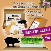 Kresseschale smart 'n' green . Schwein Holz u. Porzellan Geschenkbox Samen side by side