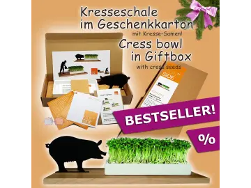 Kresseschale smart 'n' green . Schwein Holz u. Porzellan Geschenkbox Samen side by side