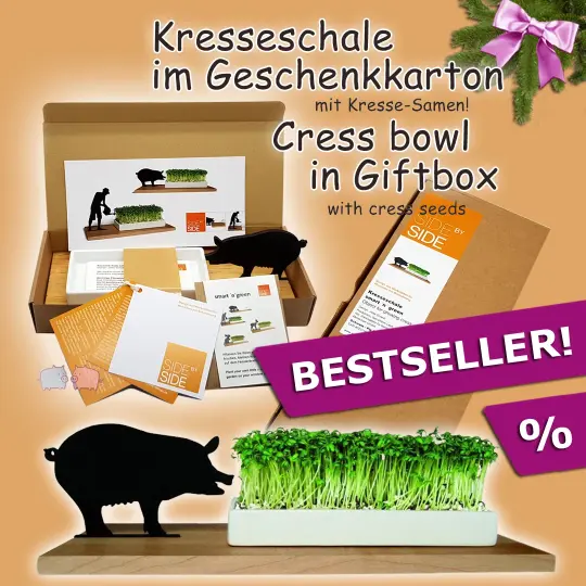 Cress bowl smart 'n' green pig wood and porcelain GiftBox Seeds side by side