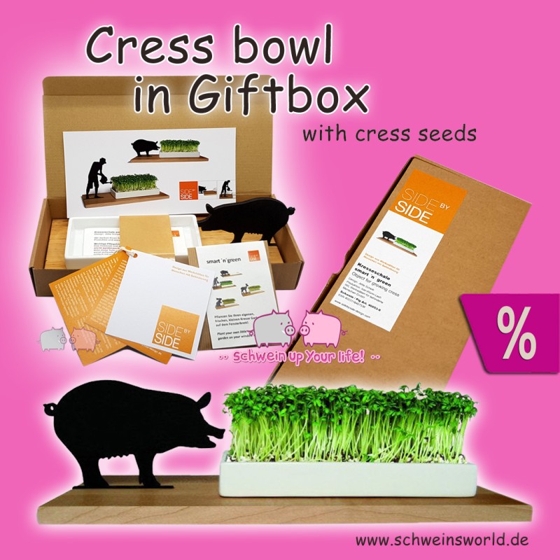 Cress bowl smart 'n' green pig wood and porcelain GiftBox Seeds side by side