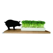 Kresseschale smart 'n' green . Schwein Holz u. Porzellan Geschenkbox Samen side by side